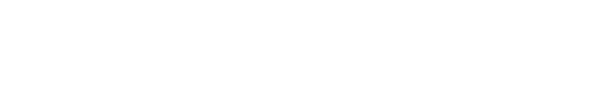 BMW Performance Driving Schools logo